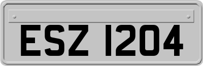 ESZ1204