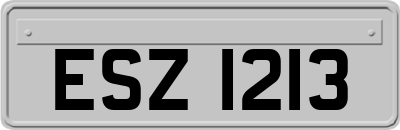 ESZ1213