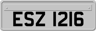 ESZ1216