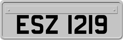 ESZ1219