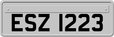 ESZ1223