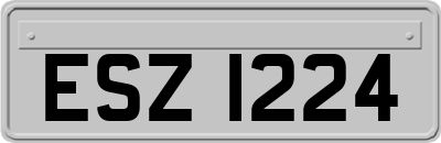 ESZ1224