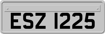 ESZ1225
