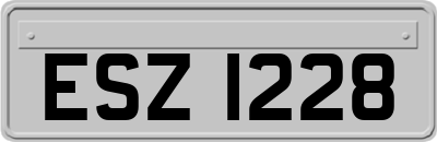 ESZ1228