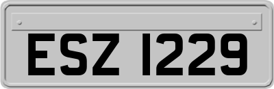 ESZ1229