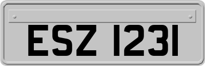 ESZ1231