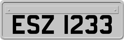 ESZ1233