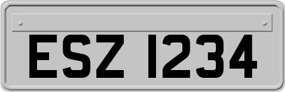 ESZ1234
