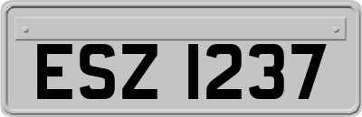 ESZ1237