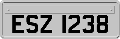 ESZ1238