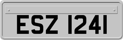 ESZ1241