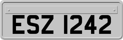 ESZ1242