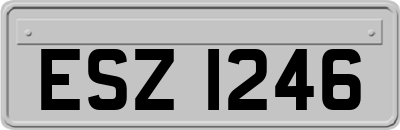 ESZ1246