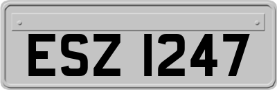 ESZ1247