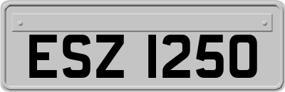 ESZ1250