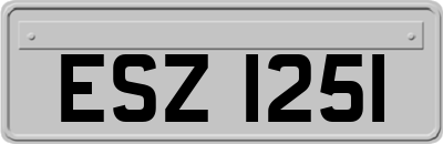 ESZ1251