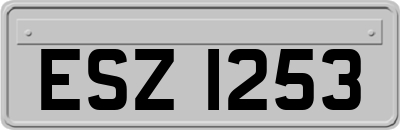 ESZ1253