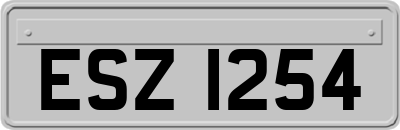 ESZ1254