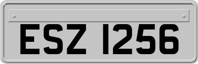 ESZ1256
