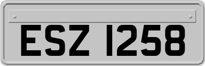 ESZ1258