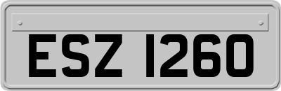 ESZ1260