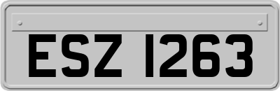 ESZ1263