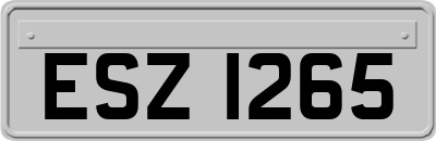ESZ1265