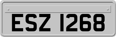 ESZ1268