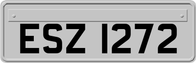 ESZ1272