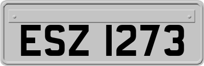 ESZ1273