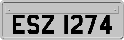 ESZ1274