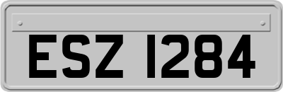 ESZ1284
