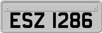 ESZ1286