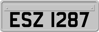 ESZ1287
