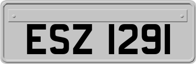 ESZ1291
