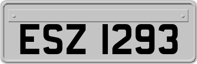 ESZ1293