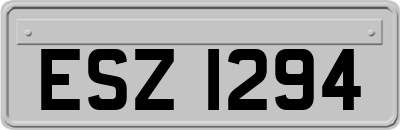 ESZ1294