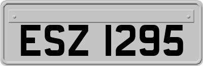 ESZ1295