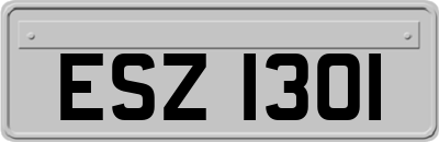 ESZ1301