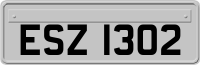 ESZ1302