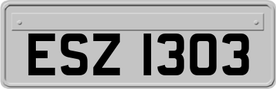 ESZ1303
