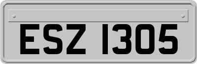 ESZ1305