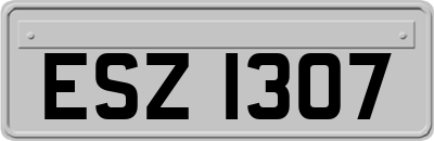 ESZ1307