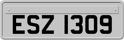 ESZ1309