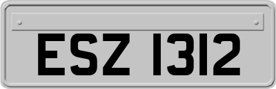 ESZ1312