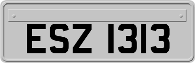 ESZ1313