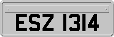 ESZ1314