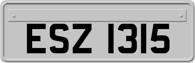 ESZ1315