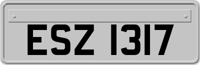 ESZ1317