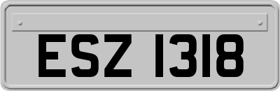 ESZ1318